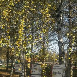 Фото Отель Шуколово