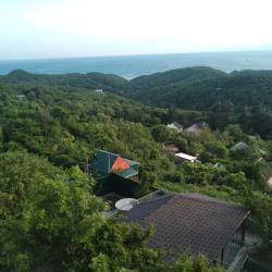 Фото Отель Дома в лесу