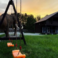 Фото Отель Мамонт