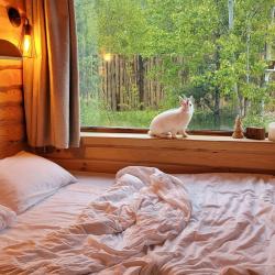 Коттедж стандарт с 1 двуспальной кроватью