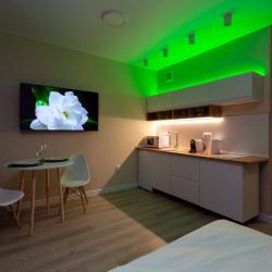 Апартаменты студия Новгородская 3