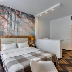 Sunflower Vnukovo ZONT Hotel Group (Санфлауэр Внуково) — b411cfe00010f9e1b0c9fd5f24dfb954