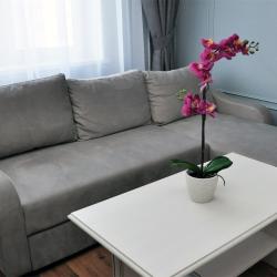 Номер полулюкс