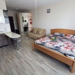 1-комнатные апартаменты студия