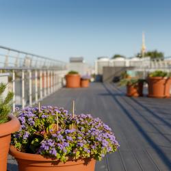 фото 86 Garden Street hotel (Гарден Стрит)
