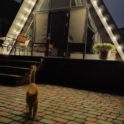 Коттедж улучшенный