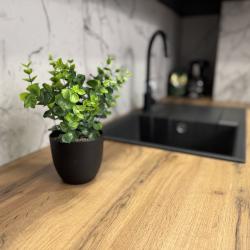 Апартаменты студия №1