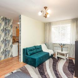 Фото Отель Однокомнатная квартира на ул.Шорникова 13