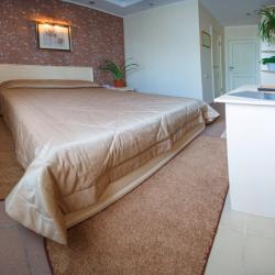 Фото Отель Форт росс