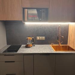 Фото Апартаменты Floris Apartments (Флорис Апартменс) на Невском