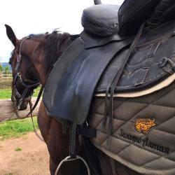 Фото Отель Золото Алтая