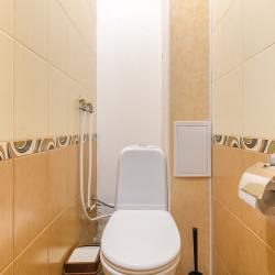 Фото Семейные апартаменты Elenahotel (Еленаотель) на проспекте Коломяжский 34 корпус 2