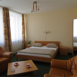 Номер полулюкс с 1 двуспальной кроватью