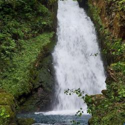 Фото Отель База отдыха Страна души