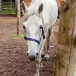 Фото Отель Тридевятое царство