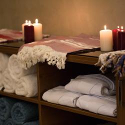 Фото Отель Wellness Hotel and Spa (Велнесс)