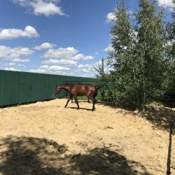 Фото Отель Золотой сазан