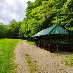 Фото Отель Очаровательная поляна