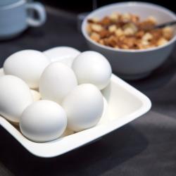 Фото Отель Comfort Nsk Hotel (Комфорт Нск)