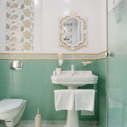 Provence полулюкс с балконом №20