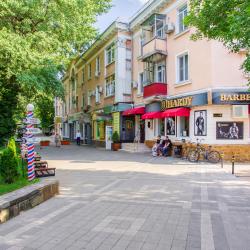 Фото Отель Pro Apart (Про Апарт) на улице Красная 165/1