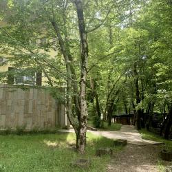 Фото Отель Примула