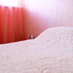 Фото Отель Nice (Найс)