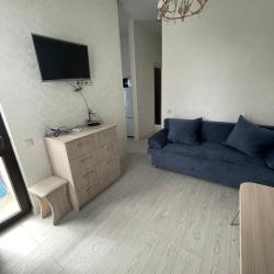 Фото Апартаменты Pluton Aparts в СНТ Агро