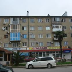Фото Апартаменты на улице Абазгаа 49/1