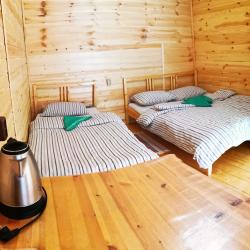 Фото Отель Зелёный колобок