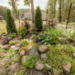 Фото Отель Березка