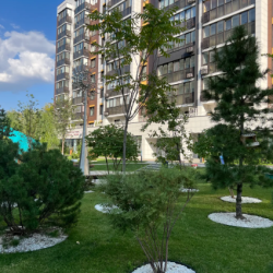 1-комнатные апартаменты стандарт