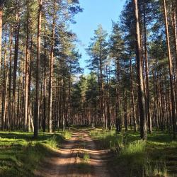Фото Отель Усадьба Родное