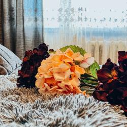 Фото Симбирские апартаменты на улице Рябикова 70 корп. 2