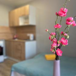 Апартаменты студия