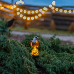 Коттедж улучшенный Когтевран