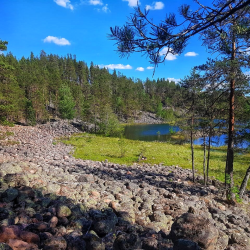Фото Отель Гостевой комплекс Сосны