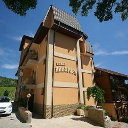 Фото Отель Вилла Аннигора