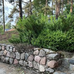 Коттедж стандарт