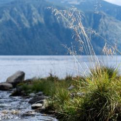 Фото Отель Шале Телецкое