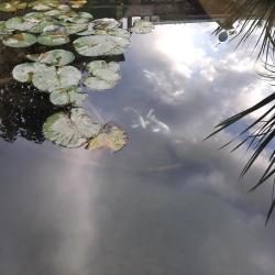 Фото Отель Пан Азиат