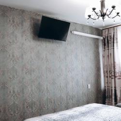 Фото Отель Квартира на Ленинском проспекте 18