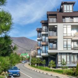 1-комнатные апартаменты студия с.Красная поляна, ул. Турчинского 10