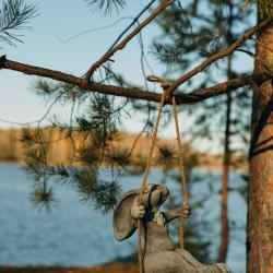 Фото Отель Лунный кролик