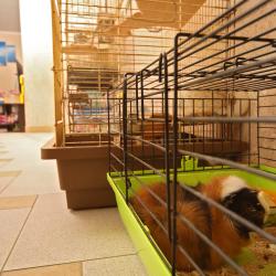 Фото De'Lore Park Hotel Domodedovo (Делор Парк Отель Домодедово)