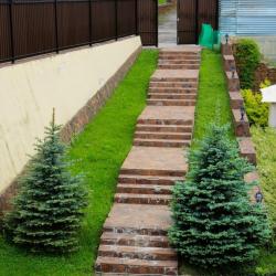 Фото Отель Золотой Гусь