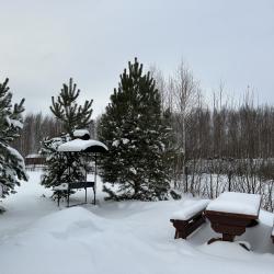 фото 4 Некрасовская дача