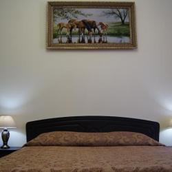 Фото Отель Арарат