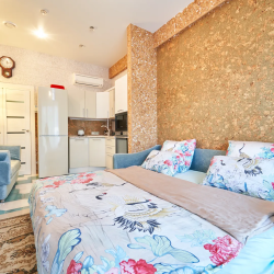 1-комнатные апартаменты студия