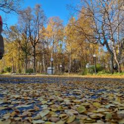 Фото Отель Лапландия